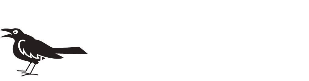 Houston DSA Logo