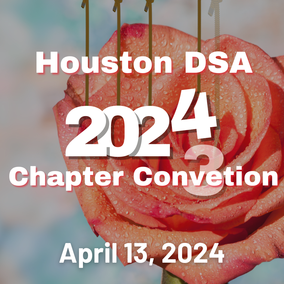 HoustonDSA2024Convention Houston DSA